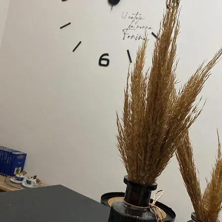 U Catoju Da Nonna Fonina *