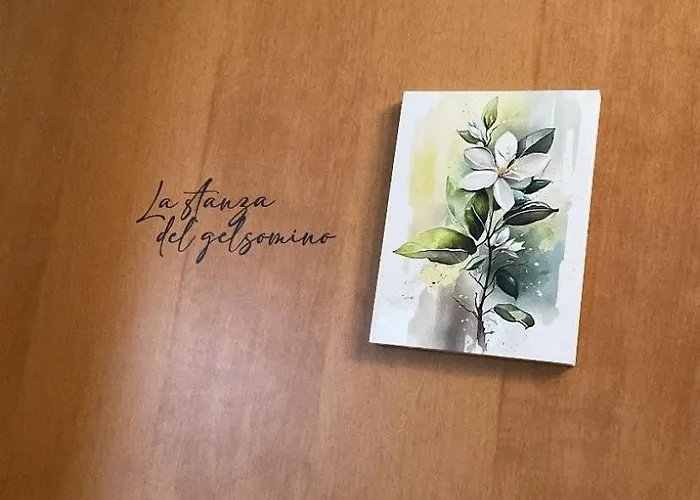 U Catoju Da Nonna Fonina *