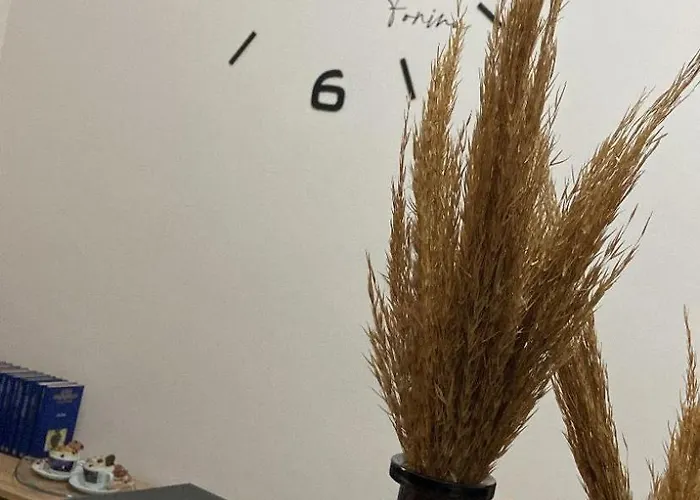 U Catoju Da Nonna Fonina *